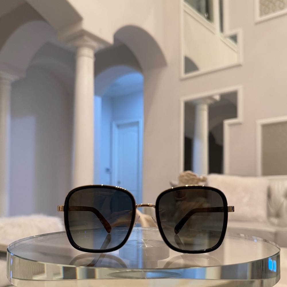 NWT Jimmy Choo Sunglasses